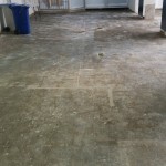 17) Vinyl floor tile removal - after